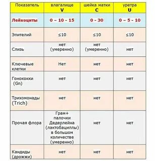 Мазок лейкоциты норма у женщин после 60