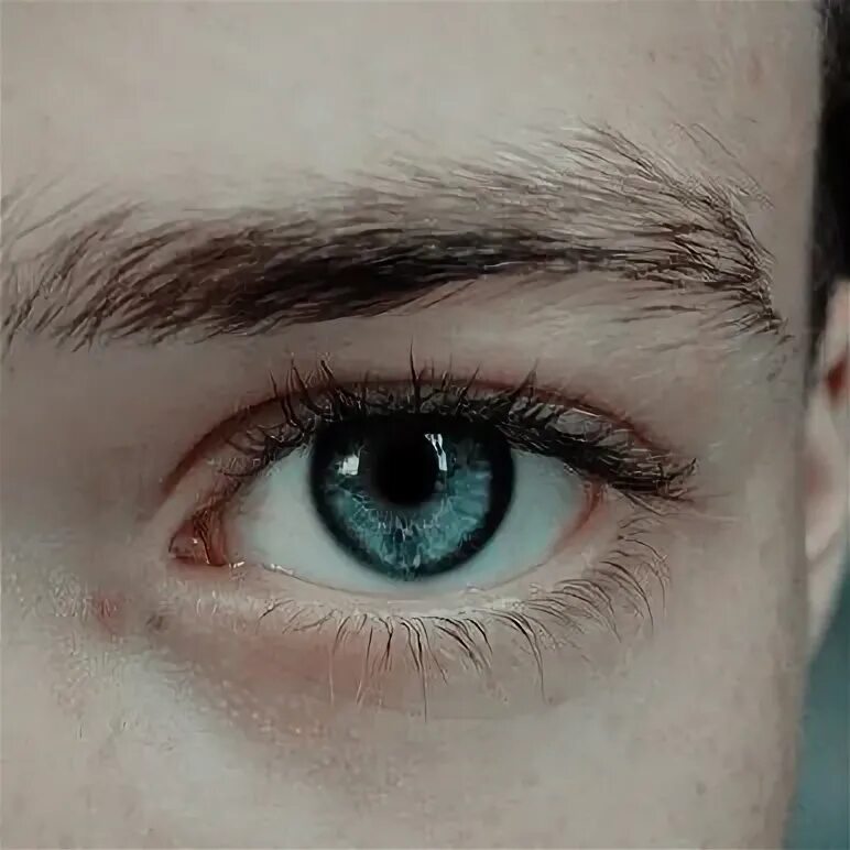 У него большие серые глаза. У него большие серые глаза. Макияж для голубых глаз. Женские глаза. Макияж для блондинок с серо-голубыми.