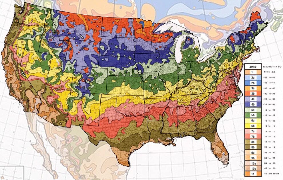 Зона USDA 3. Hardiness Zone Map. USDA Zones Plant Hardiness. Plant Hardiness Zone Map.