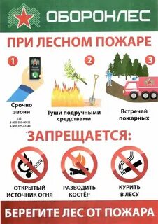 Памятка лесные пожары