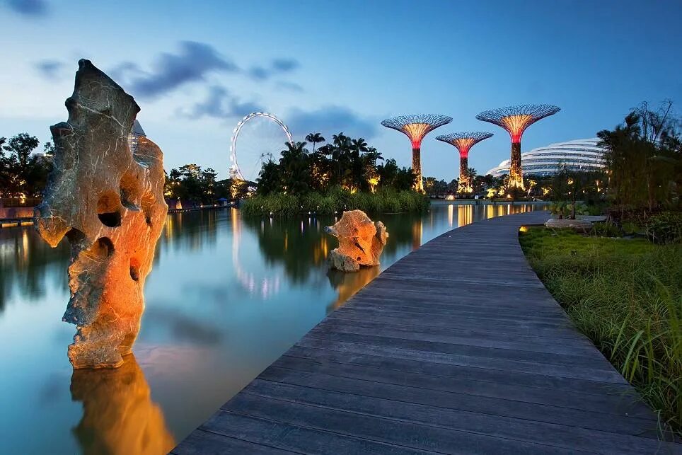 Самые удивительные парки. Гарденс Бэй Бэй Сингапур. Татерсаль парк Сингапур. Супердеревья в Сингапуре. Сингапур роща сверхдеревьев.