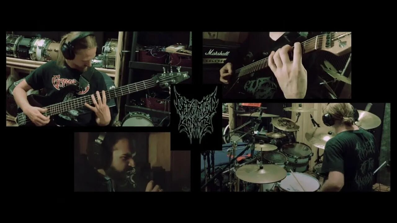 Defeated песня. Defeated sanity группа. Sanity's fall группа. Defeated песня. Breaking benjamin обои.