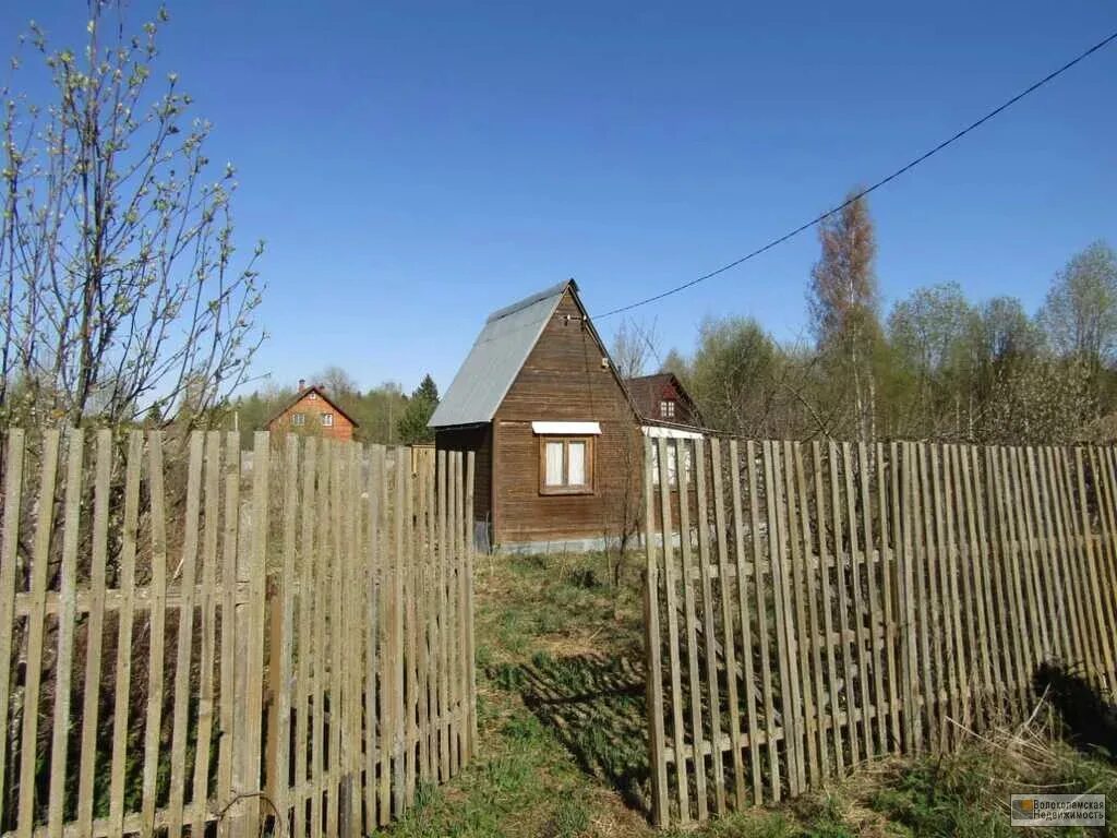 Снт стриж. СНТ Стриж Литвиново Волоколамский. СНТ Стриж Волоколамский район д. Деревня Литвиново Волоколамский район. СНТ Стриж Бронницы.