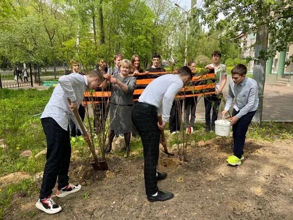 Посадка садов. Стрижка кустов на школьном дворе. Кустарники для школы. Сад памяти 2023. Посадили 56 деревьев