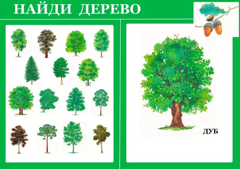 Найди дерево. Схема слова дерево. Дерева угадай слова