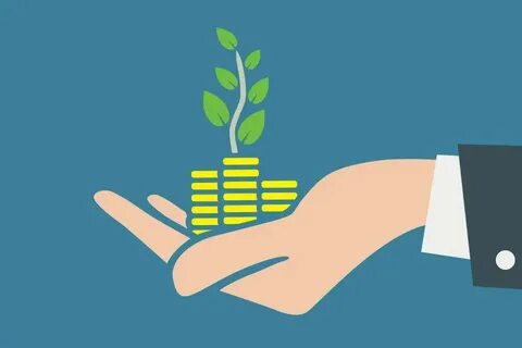 Investment decisions