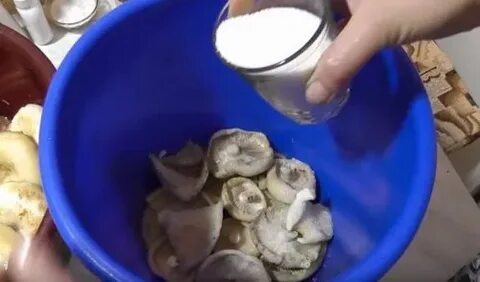 Соленые грузди рецепты под гнетом