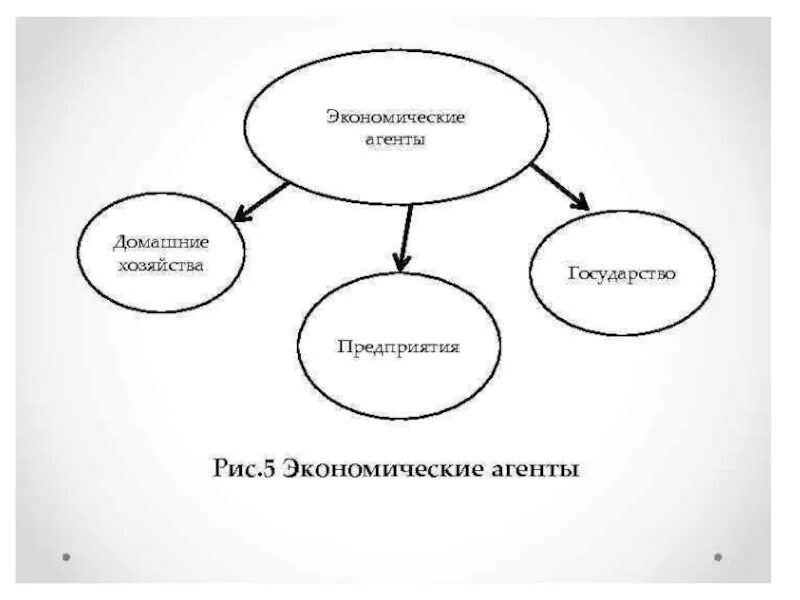 Экономические функции домохозяйства схема. Экономические агенты. Экономические агенты домохозяйства. Экономика схема домашние хозяйства. Экономические агенты производства