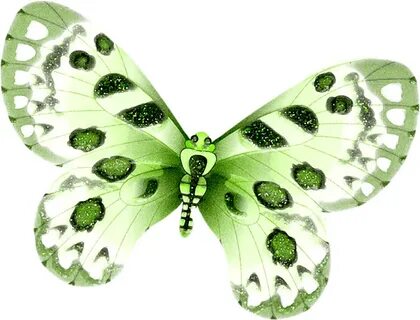 Papillon бабочка