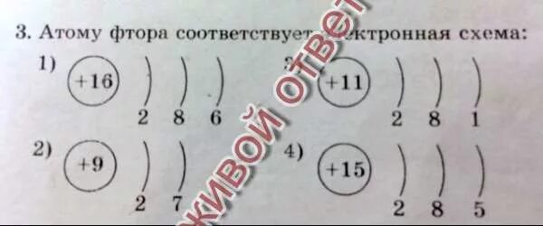 Сколько атомов фтора. Атому фтора соответствует электронная схема. Электронная схема атома фтора. Строение электронной оболочки фтора. Схема электронного строения фтора.