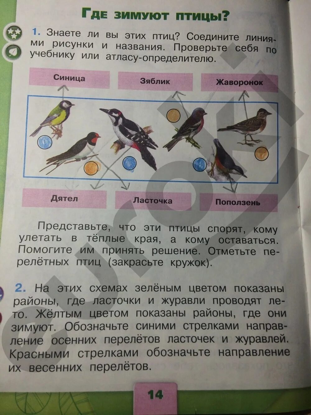 Гдз по окружающему миру. Окружающий мир 1 класс страница 12. Окружающий мир 1 класс 2 часть стр 12. Окружающий мир 1 класс рабочая тетрадь стр 12.