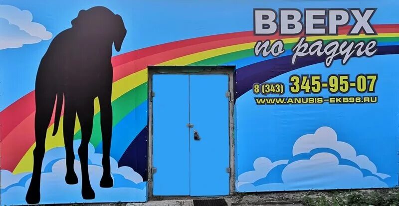 беги на радугу. радуга зеленоград. бежит по радуге. вверх по радуге. рисунок вверх по радуге.