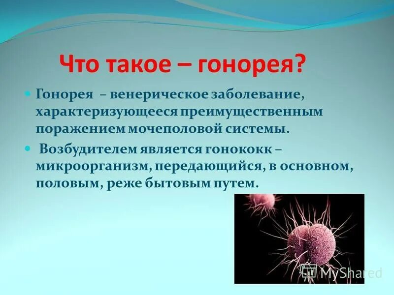 Причины заболевания гонореей. Гонорея способ передачи