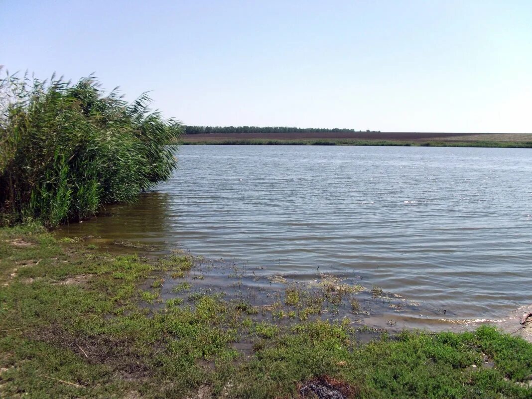 Погода в волгодонске на сегодня. Погода бирюковский ростовской. Бирюково луганская область. Погода бирюковский ростовской. Хутор бирюковский.
