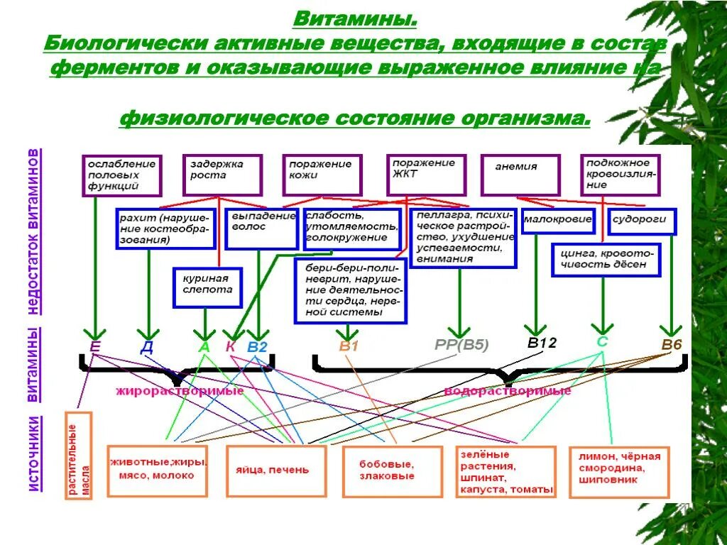 Можно ли проверить биологически активную. Биологически активные вещества. биологически активные вещества растений. биологически активные соединения химия. биологические активные вещества схема.