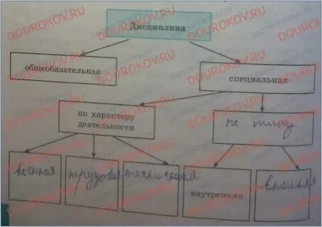 Схему дисциплина
