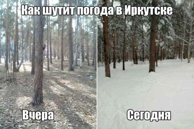Погода шутит. Стих про дождь смешной. Смешное про погоду. Шутки про синоптиков. Анекдот про синоптиков.