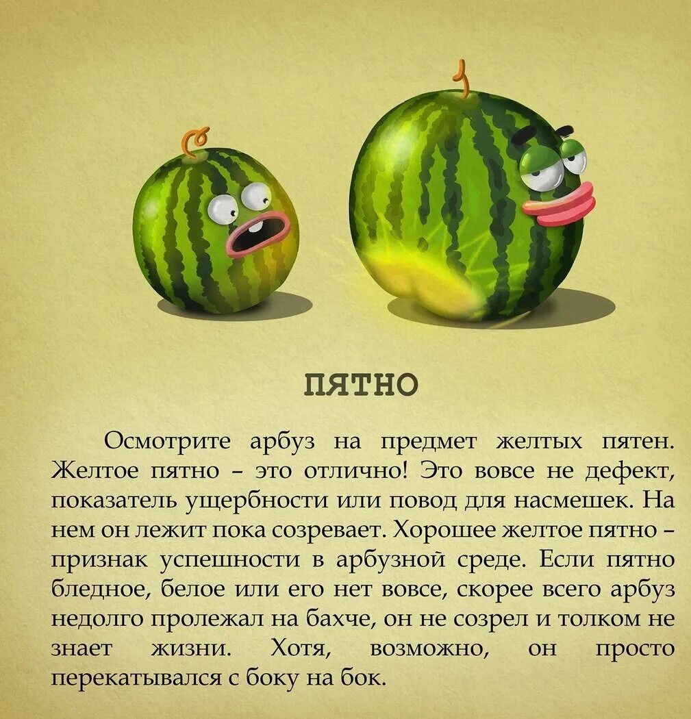 Анекдот про арбузы. Шутки про Арбуз. Анекдоты про арбузы смешные. Утки с арбузом. Смешные шутки с арбузом.