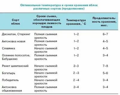 При какой температуре хранится чеснок