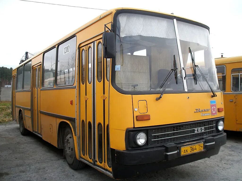 33. Икарус 260 64 рязань. Икарус 260 1983. 43 1310. 43.