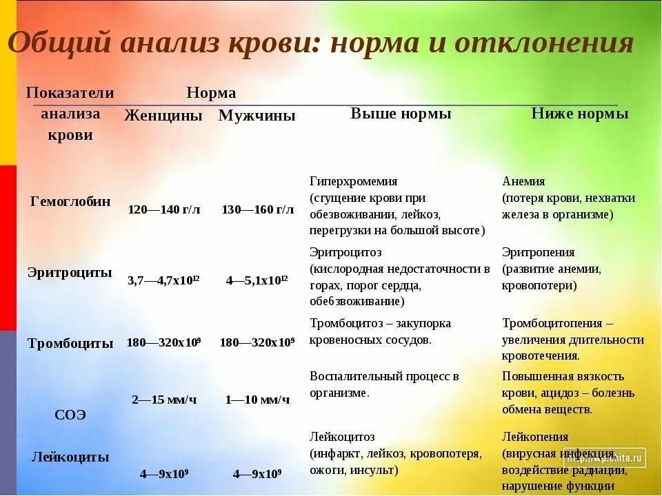 Повышены лейкоциты в крови после. Норма лейкоцитов в крови у женщин после 50 лет таблица. Норма лейкоцитов в крови у женщин после 50. Лейкоциты в крови норма у женщин после 40 лет таблица 2021. Лейкоциты в крови норма у женщин после 50 лет таблица норм.