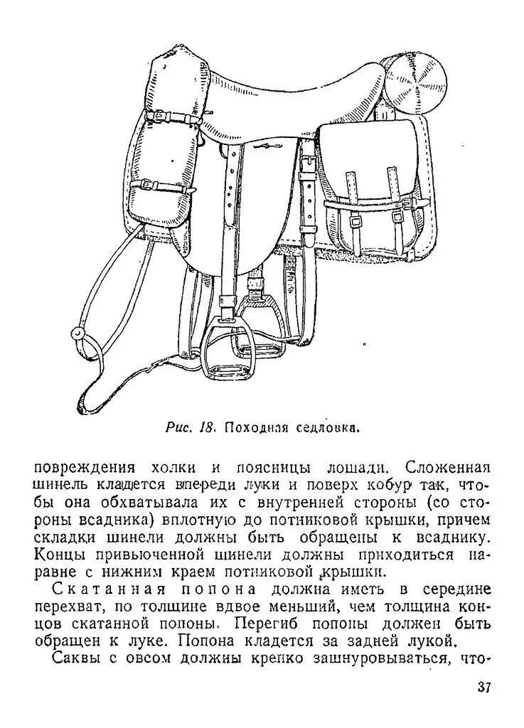 Выкройка попоны для лошади. Лекала для пошива попоны для лошади. Выкройки конной амуниции. Выкройки амуниции для лошадей.