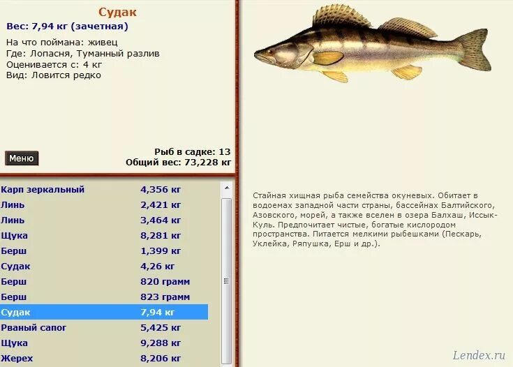 Русская рыбалка 3 базы. Судак рыба вес. Лопасня где лучше ловить. Рост судака. Рр3 Судак Лопасня.