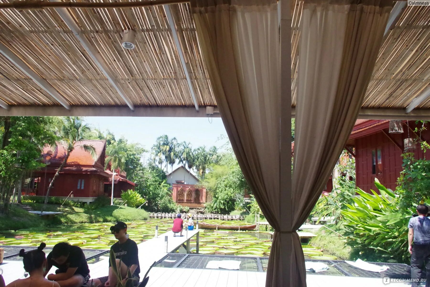 Doo bua cafe. Ma doo bua cafe, таланг, пхукет. кафе с кувшинками пхукет. ресторан с кувшинками пхукет. ресторан с кувшинками в тайланде.