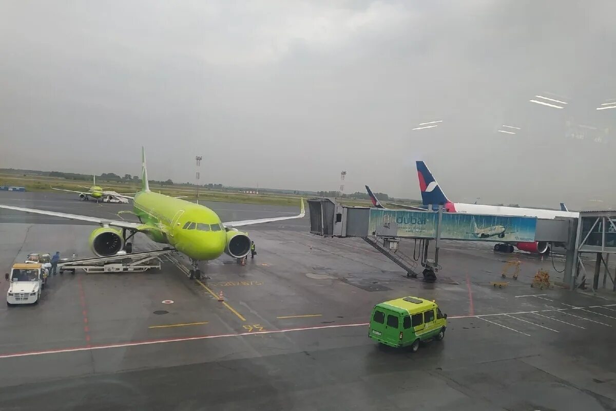 S7 Airlines Толмачево. Новосибирск аэропорт самолет s7. Представительство s7 в Новосибирске в аэропорту Толмачево. Аэропорт Новосибирск 2023.