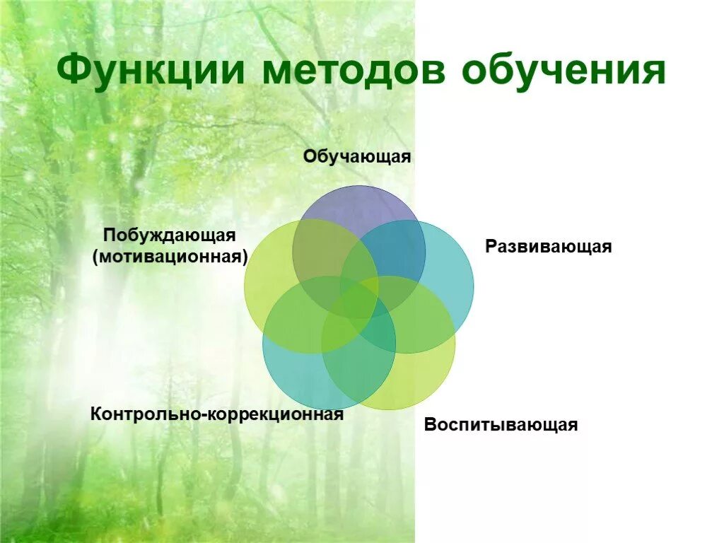 Методы образования. Функции методики преподавания. Методы обучения функции. Методы и средства в педагогике. Методы и приемы окружающий мир