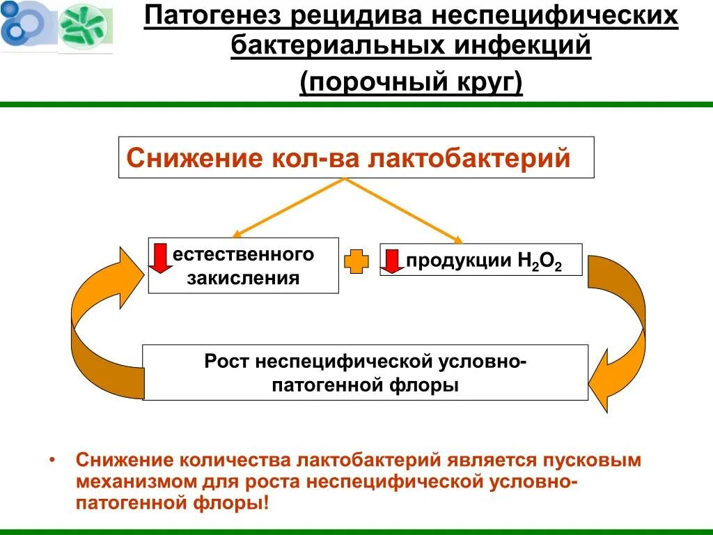 Развитие рецидивов. Механизмы развития рецидивирования. Патогенез бактериальных инфекций. Порочный круг патогенеза. Порочный круг инфекция.