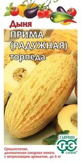 Дыня прима