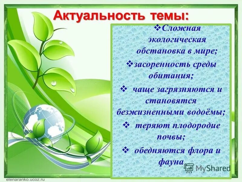 воспитание экологической культуры дошкольников. экологические для дошкольников. экология в детском саду. проект по экологическому воспитанию. экологические для дошкольников.