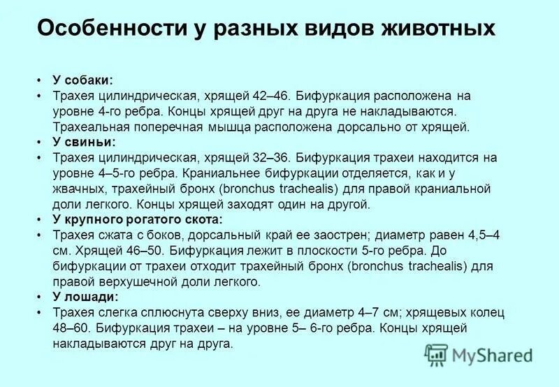 В чем особенность трахейного дыхания