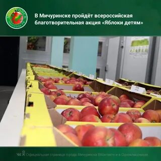 Всероссийский фестиваль яблоко от яблони