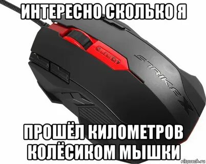 Мышка тут