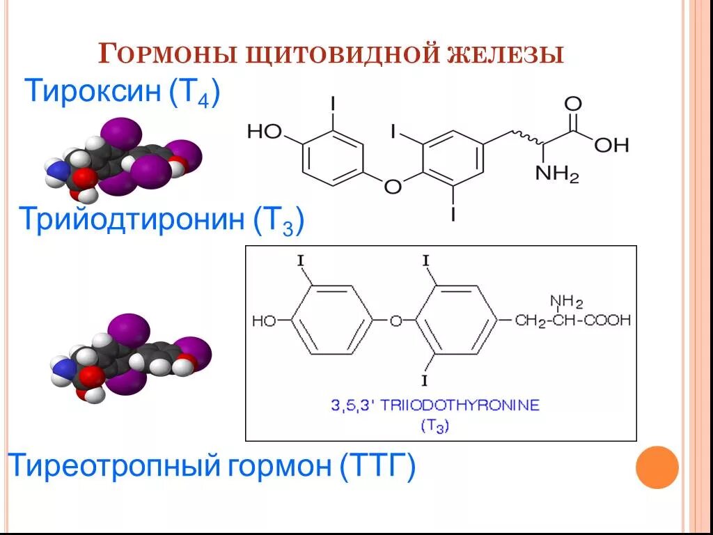 Гормоны щитовидной железы трийодтиронин. Тиреотропный гормон формула. Тиреотропный гормон химическая формула. Химическая структура гормонов щитовидной железы.