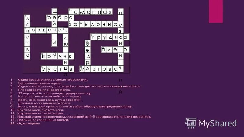 Кроссворд по биологии 8 класс опорно двигательная система с ответами. Кроссворды мышцы. Кроссворд по мышцам головы?. Кроссворды мышцы. Кроссворд по теме опорно двигательная система 8 класс.