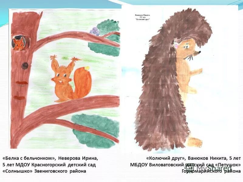 На зов колючего друга являлся кот. Справ. Манул мем. На зов колючего друга являлся кот. На зов колючего друга являлся кот.