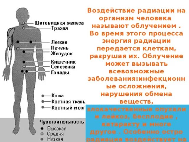 Воздействие радиации на организм человека. Воздействие радиации на человека. Влияние радиационного излучения на организм. Воздействие излучений на организм человека.