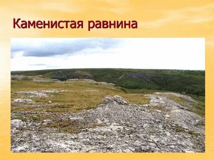 Предложения каменистый