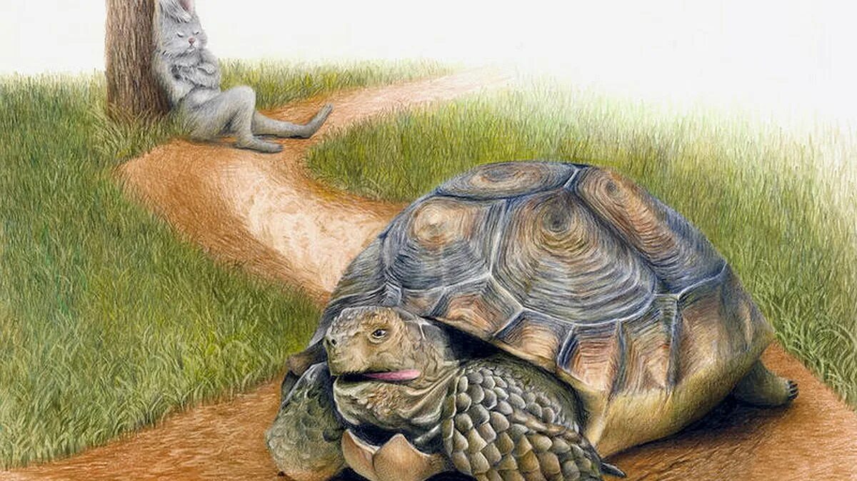 рассказ льва николаевича толстого черепаха. л н толстой черепаха. рассказы о животных льва николаевича толстого. "старая черепаха". н.