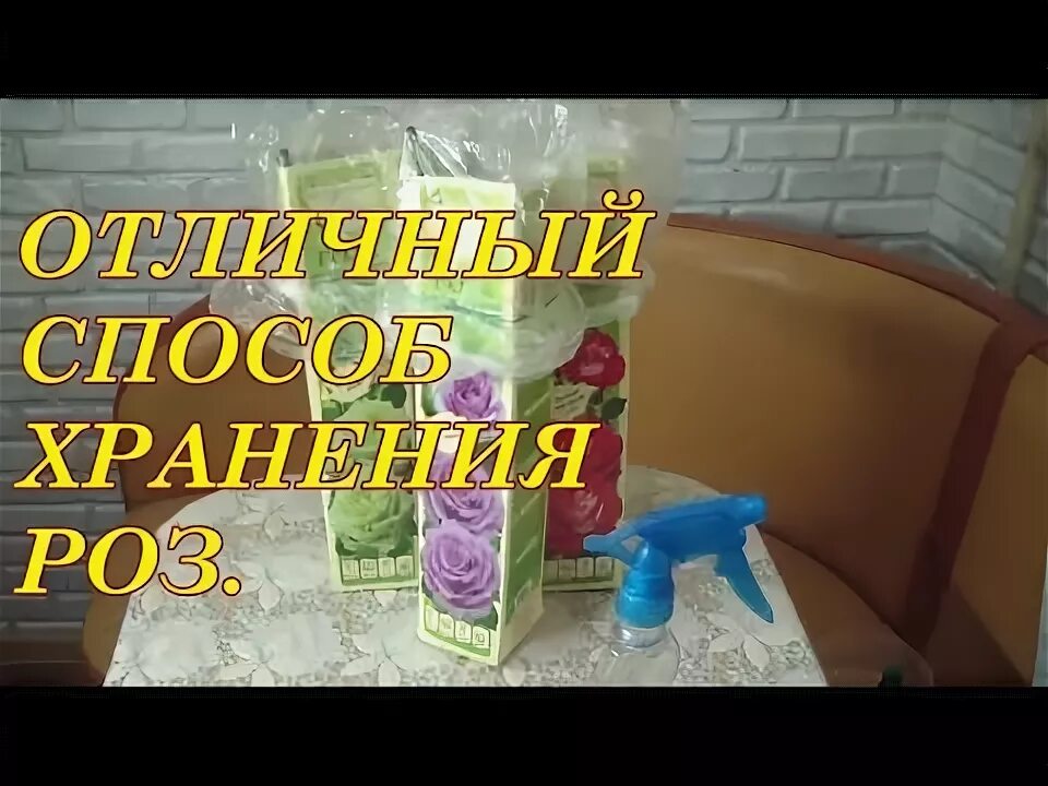 Как хранить розы зимой в подполье. Хранение роз в холодильнике. хранение роз в холодильнике до посадки. розы в холодильнике. хранение черенков роз в холодильнике до весны.