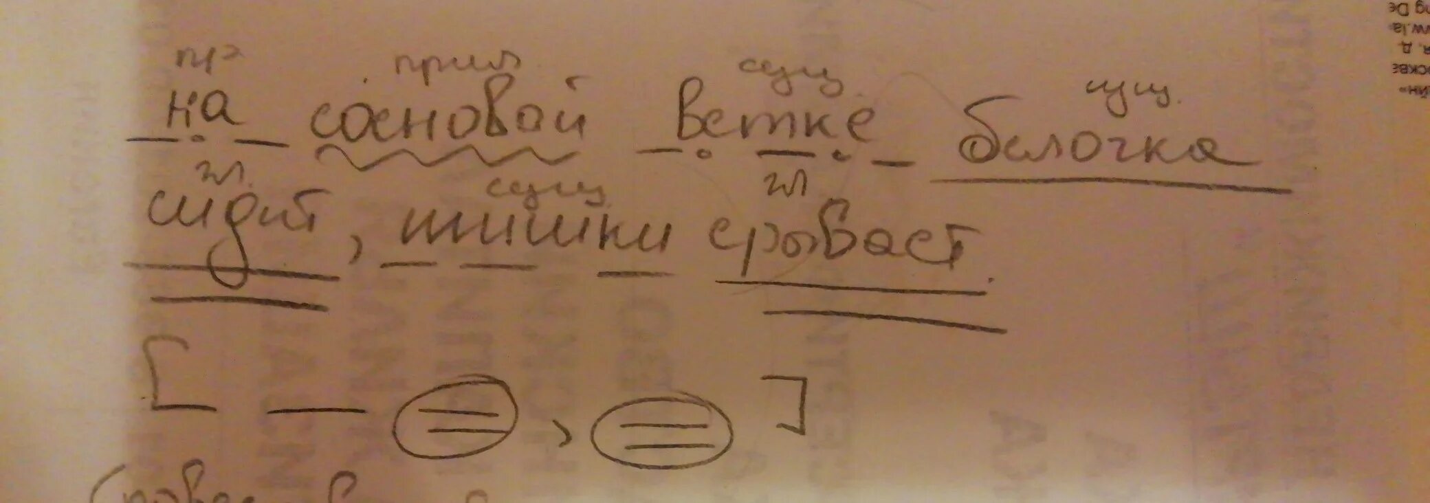 Поляну большими скачками пересекала белка разбор предложения