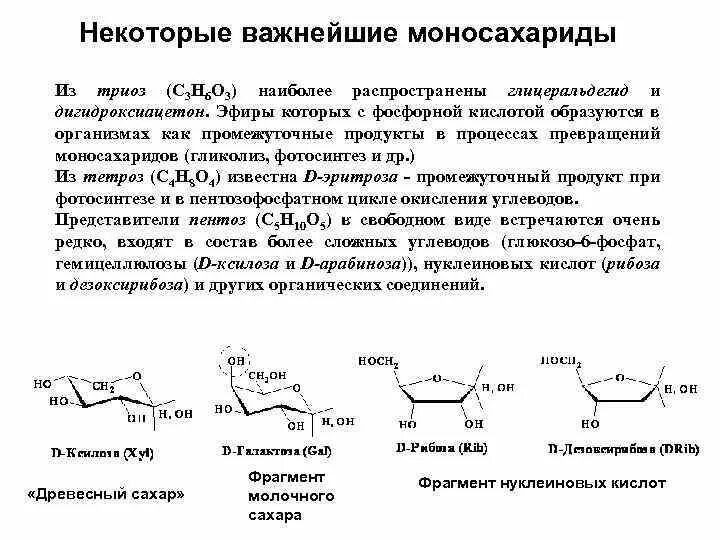 Наиболее распространенный моносахарид. Функции моносахаридов. Моносахариды триозы. Важнейшие моносахариды. Функции моносахаридов в организме.