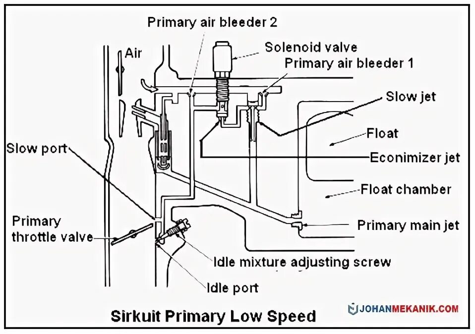 Primary main