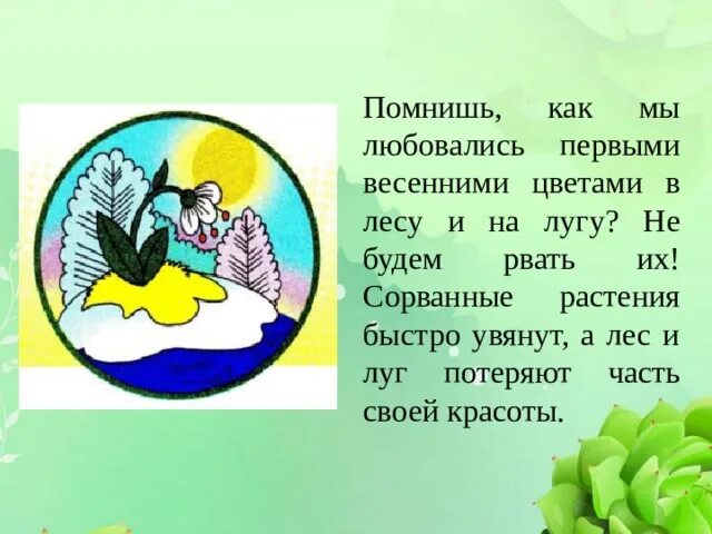 Охрана природы весной. Охрана природы. Проект охрана природы. Окружающий мир охрана природы проекты.