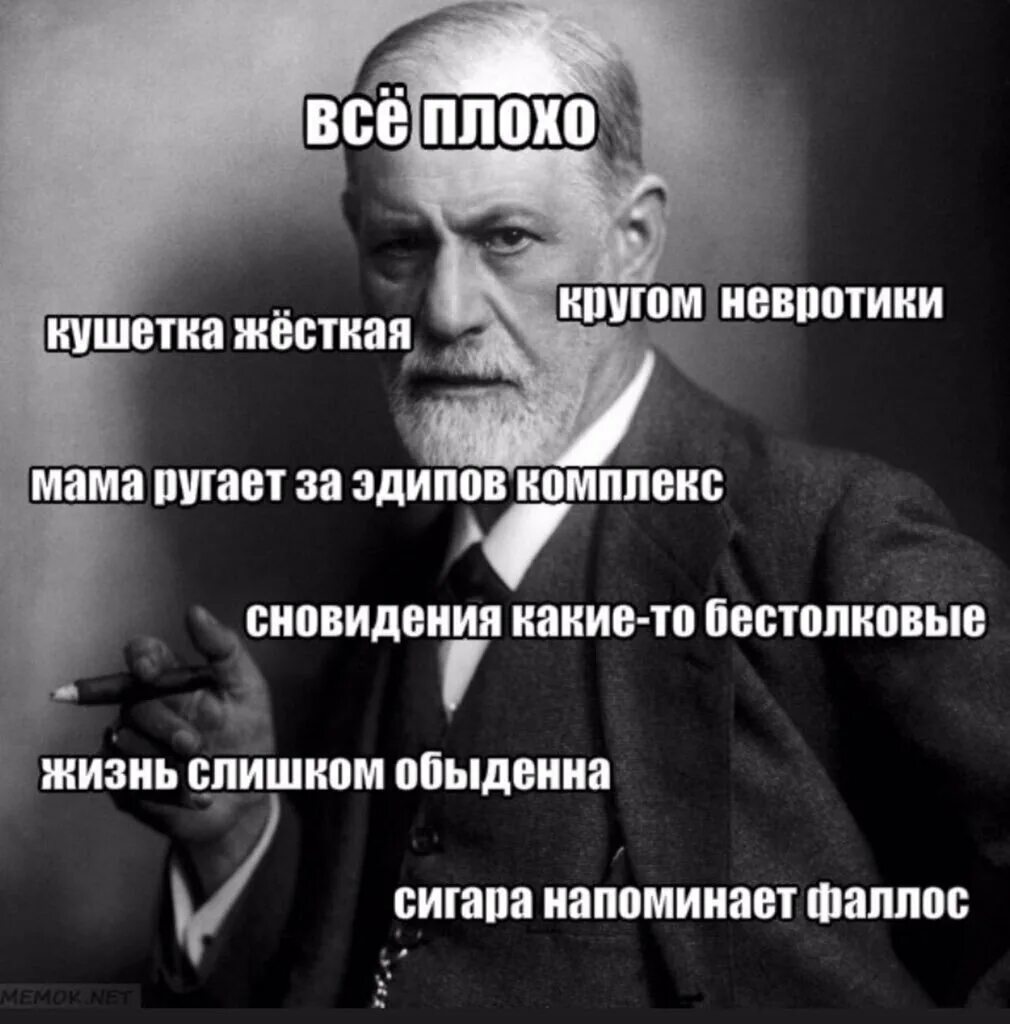 Фрейд голод жажда и. Фрейд мемы. мемы про психоанализ. фрейд демотиваторы.