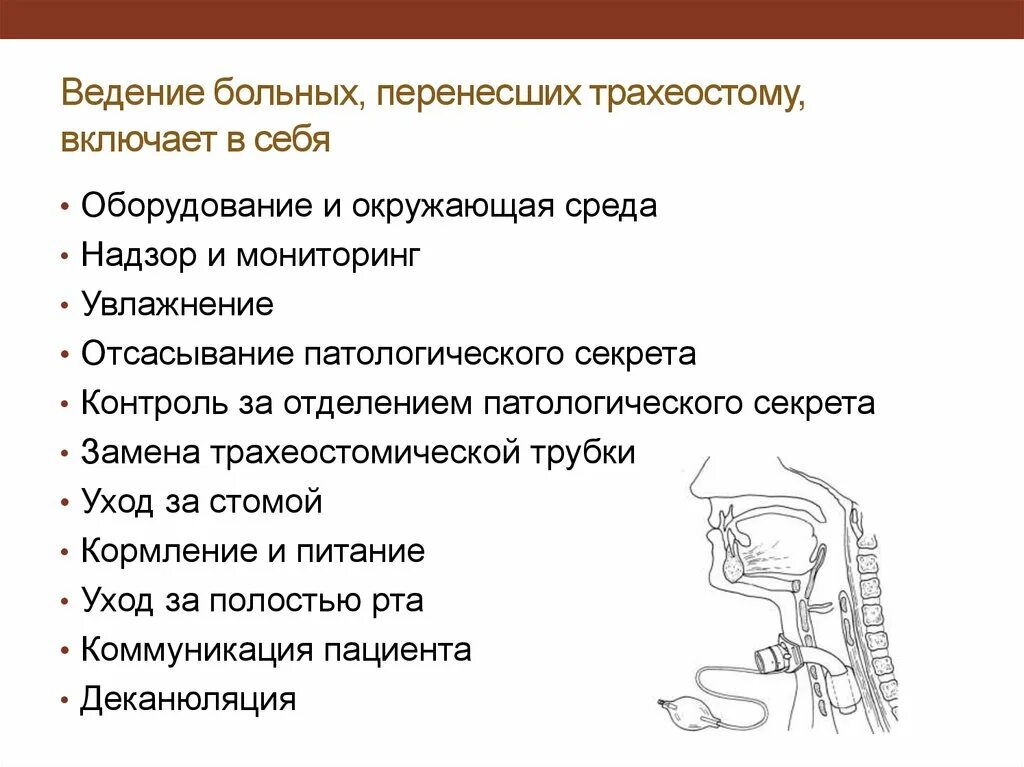 Питание пациентов с трахеостомой. Питание с трахеостомической трубкой. Тактика ведения пациента с трахеостомой. Кормление пациента с трахеостомической трубкой.