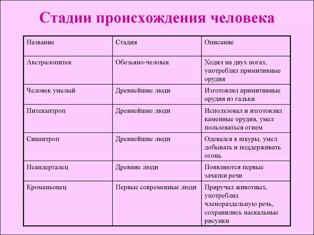 Основные этапы происхождения человека таблица. Этапы этапы происхождения человека. Этапы развития человека биология 5 класс. Стадии развития человека таблица 9 класс биология. Последовательность появления человека